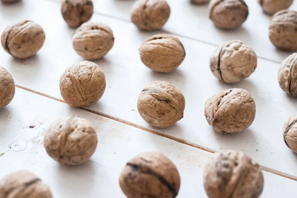 How to dry walnuts