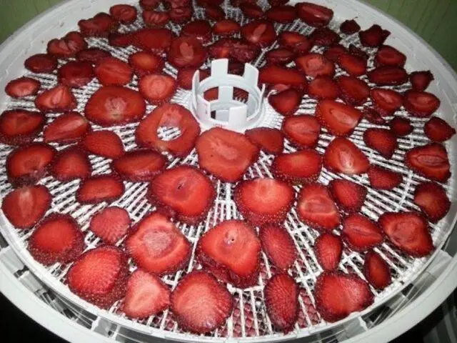 How to dry, wither strawberries at home