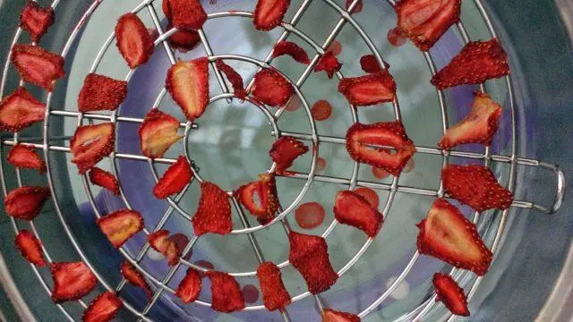 How to dry, wither strawberries at home