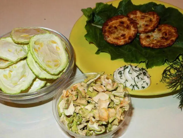 How to dry zucchini for the winter at home: in an electric dryer, on the street, in the sun