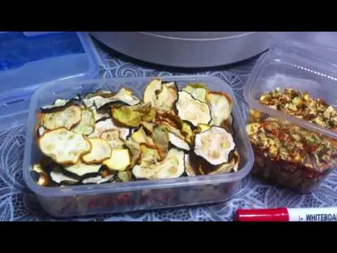 How to dry zucchini for the winter at home: in an electric dryer, on the street, in the sun