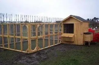 How to equip a chicken coop 