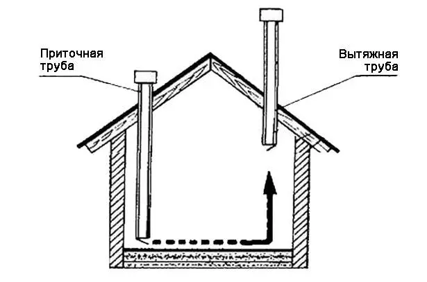 How to equip a chicken coop 