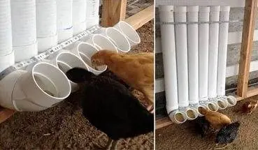 How to equip a chicken coop 