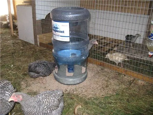 How to equip a chicken coop 