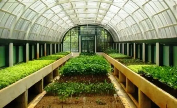 How to equip a polycarbonate greenhouse inside yourself