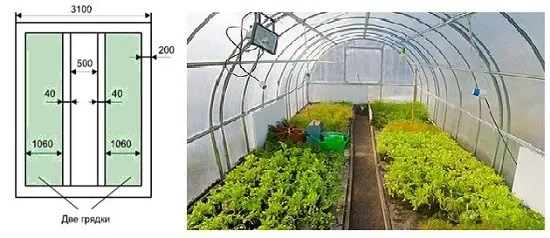 How to equip a polycarbonate greenhouse inside yourself