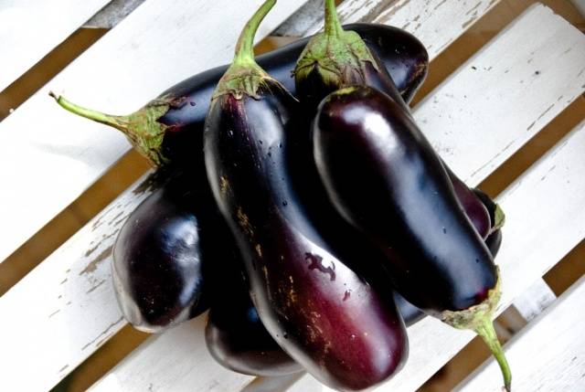 How to feed eggplant seedlings 