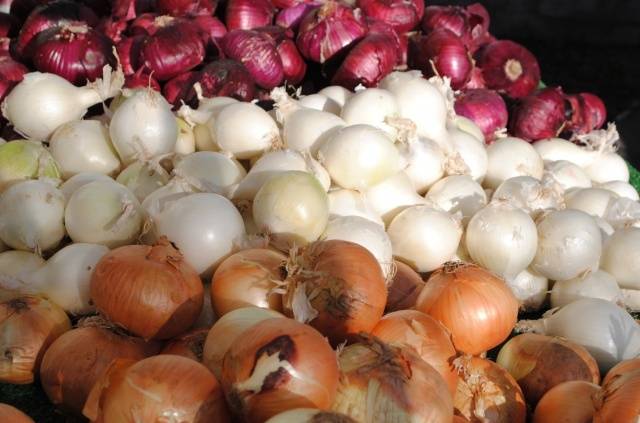 How to feed onions with ammonia 