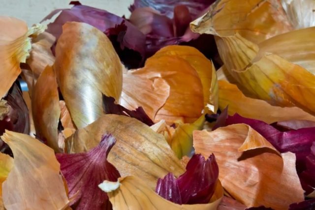 How to feed plants and flowers with onion peel, benefits, rules for use