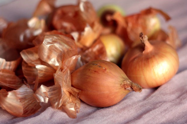 How to feed plants and flowers with onion peel, benefits, rules for use