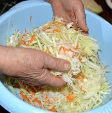 How to ferment cabbage without sugar and salt