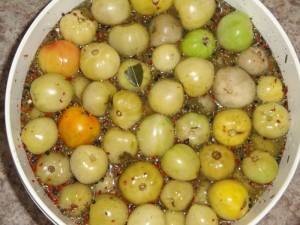 How to ferment green tomatoes in a bucket