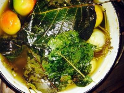 How to ferment green tomatoes in a bucket