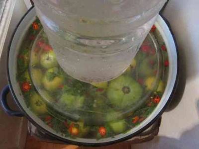 How to ferment green tomatoes in a bucket