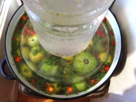 How to ferment green tomatoes in a saucepan