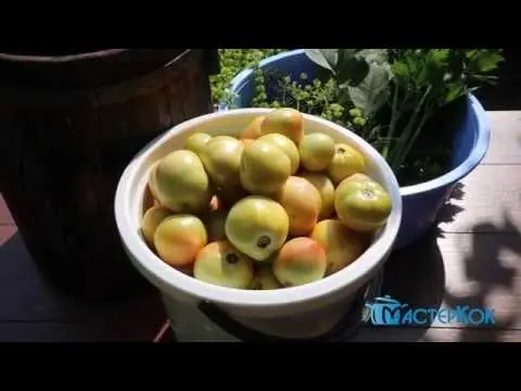 How to ferment green tomatoes in a saucepan