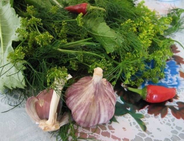 How to ferment green tomatoes in jars