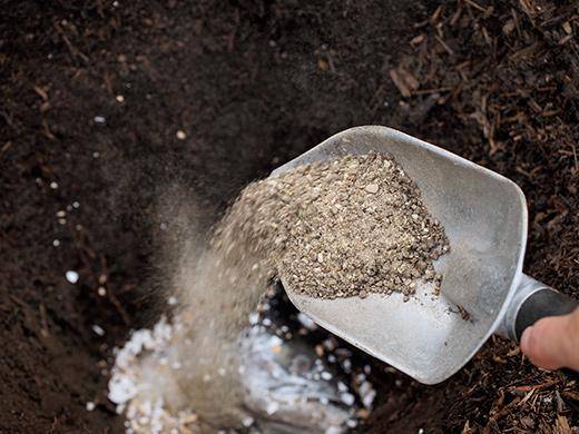 How to fertilize potatoes when planting in a hole 