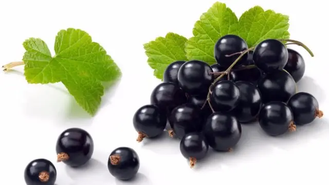 How to freeze blackcurrant