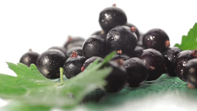 How to freeze blackcurrant