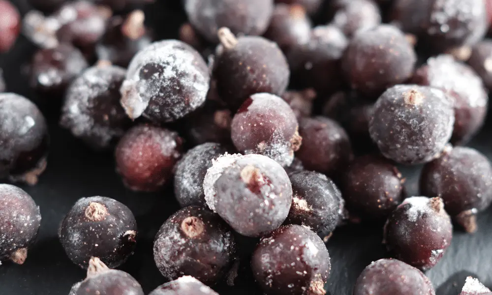 How to freeze blackcurrant