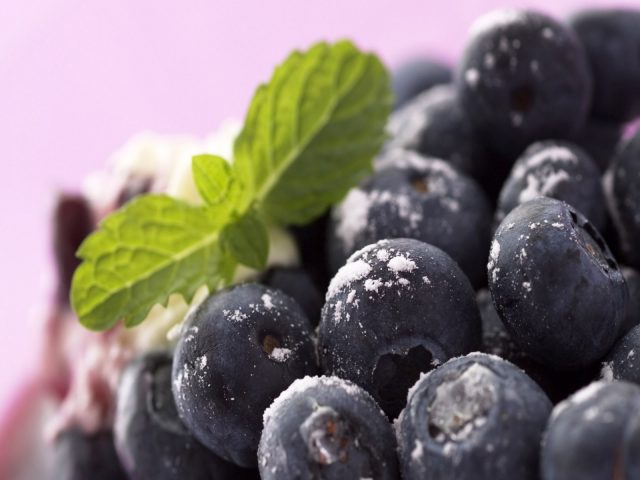 How to freeze blueberries for the winter in the refrigerator