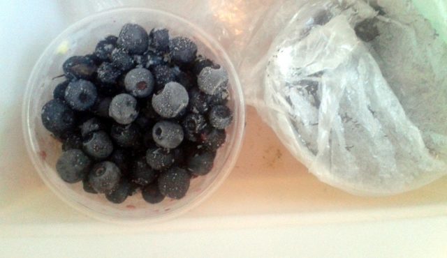 How to freeze blueberries for the winter in the refrigerator