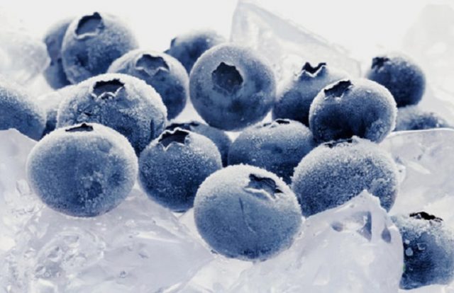 How to freeze blueberries for the winter in the refrigerator