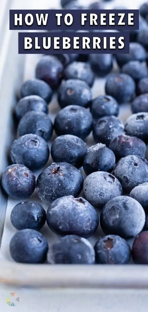 How to freeze blueberries for the winter in the refrigerator