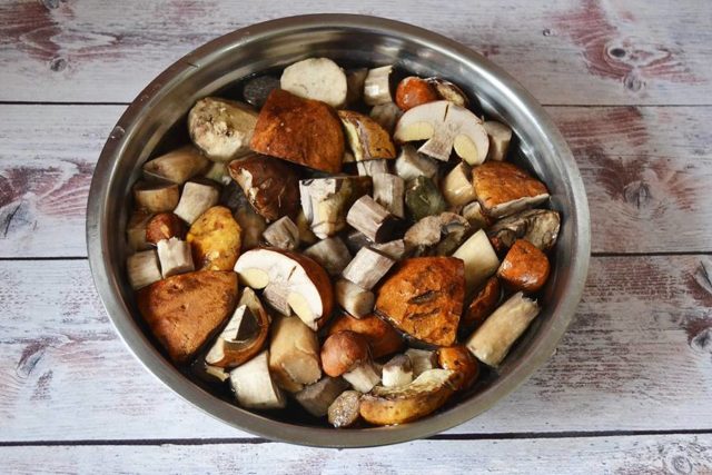 How to freeze boletus for the winter: fresh, boiled and fried