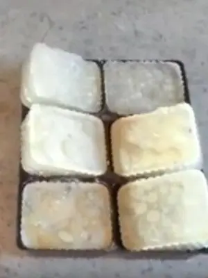 How to freeze champignons for the winter: useful tips