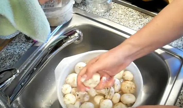 How to freeze champignons for the winter: useful tips