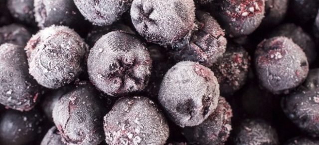 How to freeze chokeberry for the winter