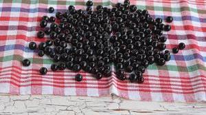 How to freeze chokeberry for the winter