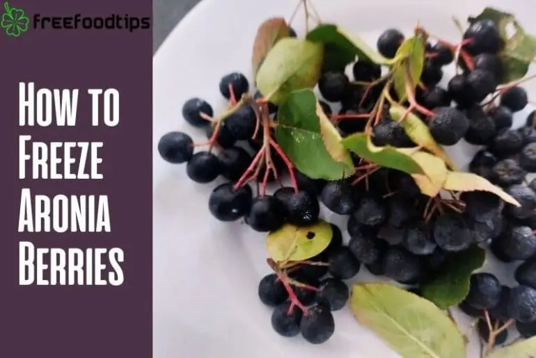 How to freeze chokeberry for the winter