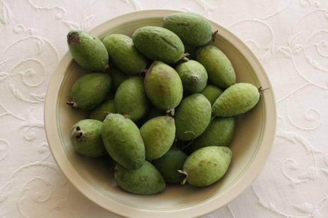 How to freeze feijoa for the winter