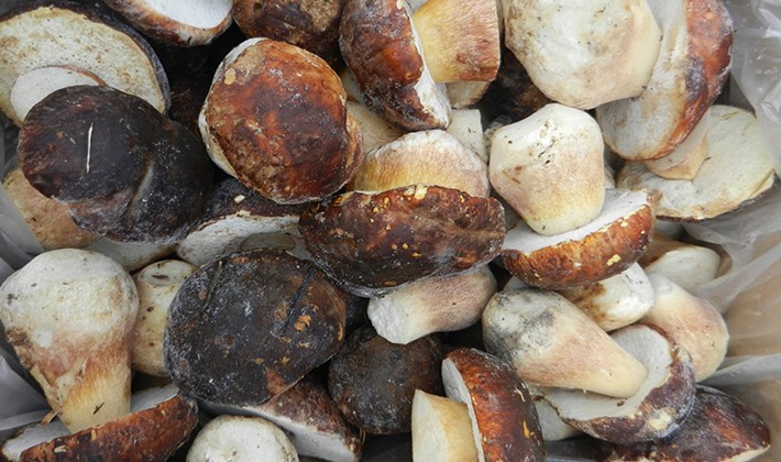 How to freeze milk mushrooms in the freezer for the winter fresh (with video)