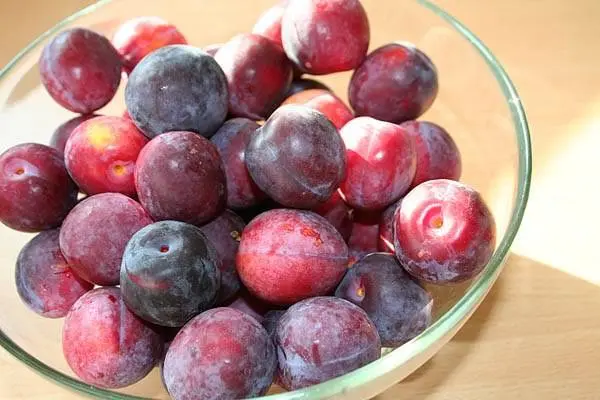 How to freeze plums in the freezer