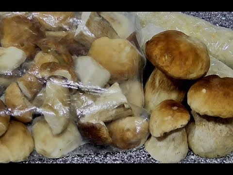 How to freeze porcini mushrooms for the winter at home