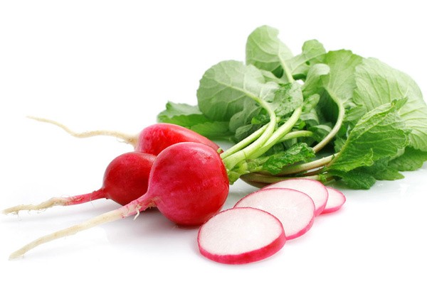 How to freeze radishes: is it possible to freeze, how to dry, how to store