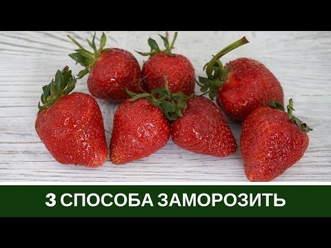 How to freeze strawberries at home for the winter