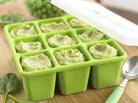 How to freeze zucchini for feeding 