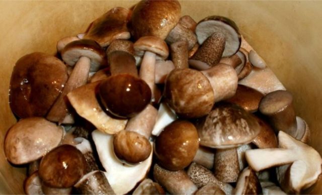 How to fry boletus in a pan