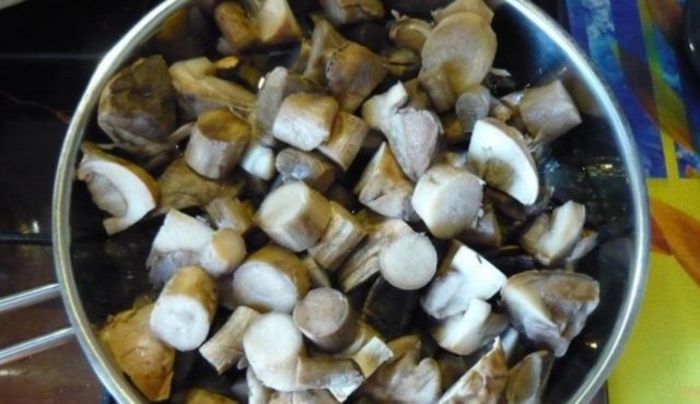 How to fry boletus in a pan