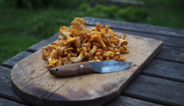 How to fry chanterelles: delicious cooking recipes