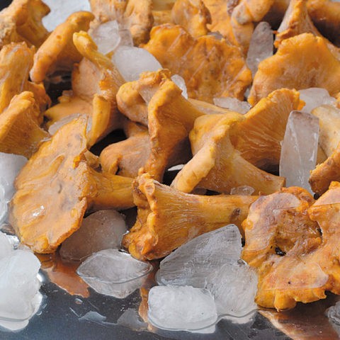 How to fry chanterelles: delicious cooking recipes