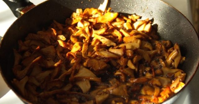 How to fry chanterelles in a pan with onions: recipes with photos, calories