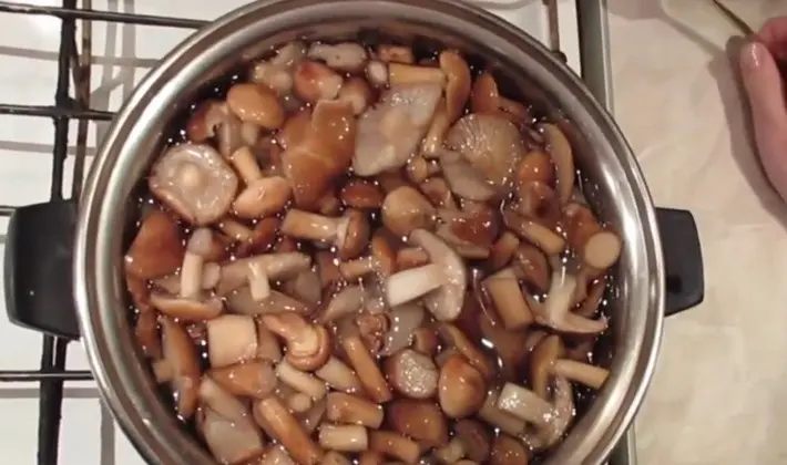 How to fry fresh mushrooms: recipes for popular dishes