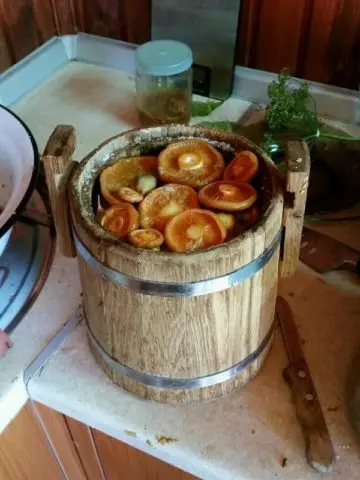 How to fry mushrooms in a pan: with onions, in flour, cream, royally